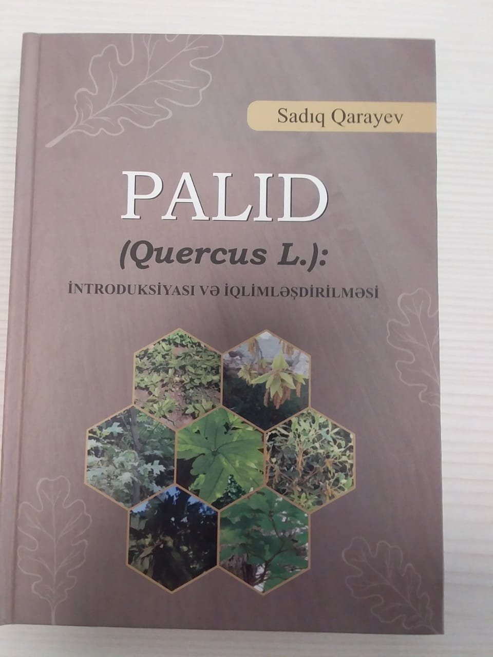 Sadıq Qarayevin PALID (Quercus L.): İntroduksiyası və iqlimləşdirilməsi adlı monoqrafiyası nəşr edilib