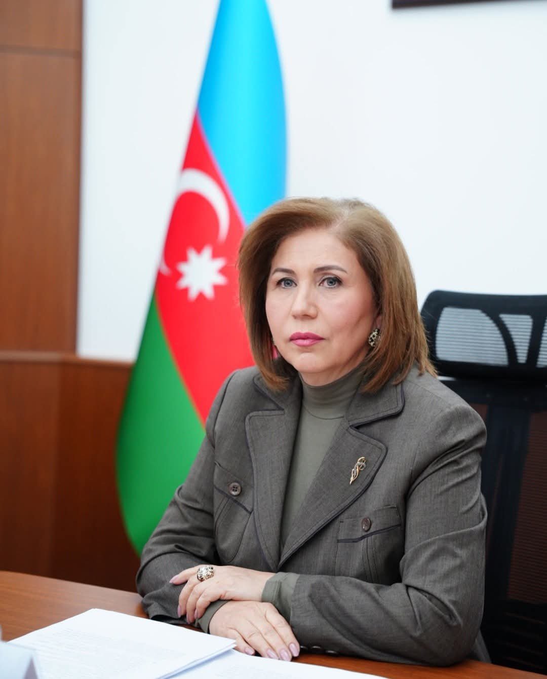 Ailə, Qadın və Uşaq Problemləri üzrə Dövlət Komitəsində yaradılan “Məişət zorakılığının qarşısının alınması sahəsində monitorinq və əlaqələndirmə qrupu”nun ilk iclası keçirilib.