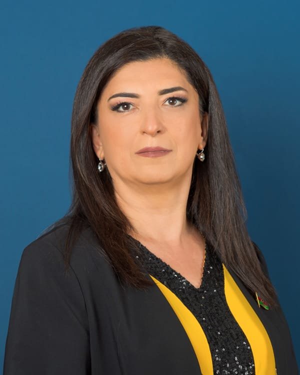 Azərbaycan stabil və təhlükəsiz ölkədir