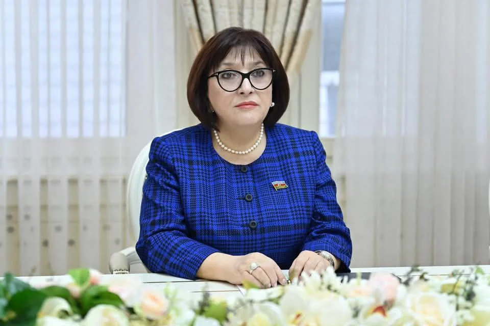 Milli Məclisin sədri Sahibə Qafarova Hulusi Akar ilə görüşüb -(FOTO)