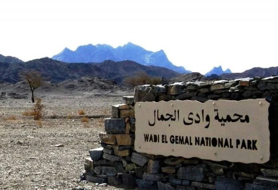 Misirli ekoloqlar turizm bumunun Qırmızı dənizə təhlükə yaratdığını iddia edirlər