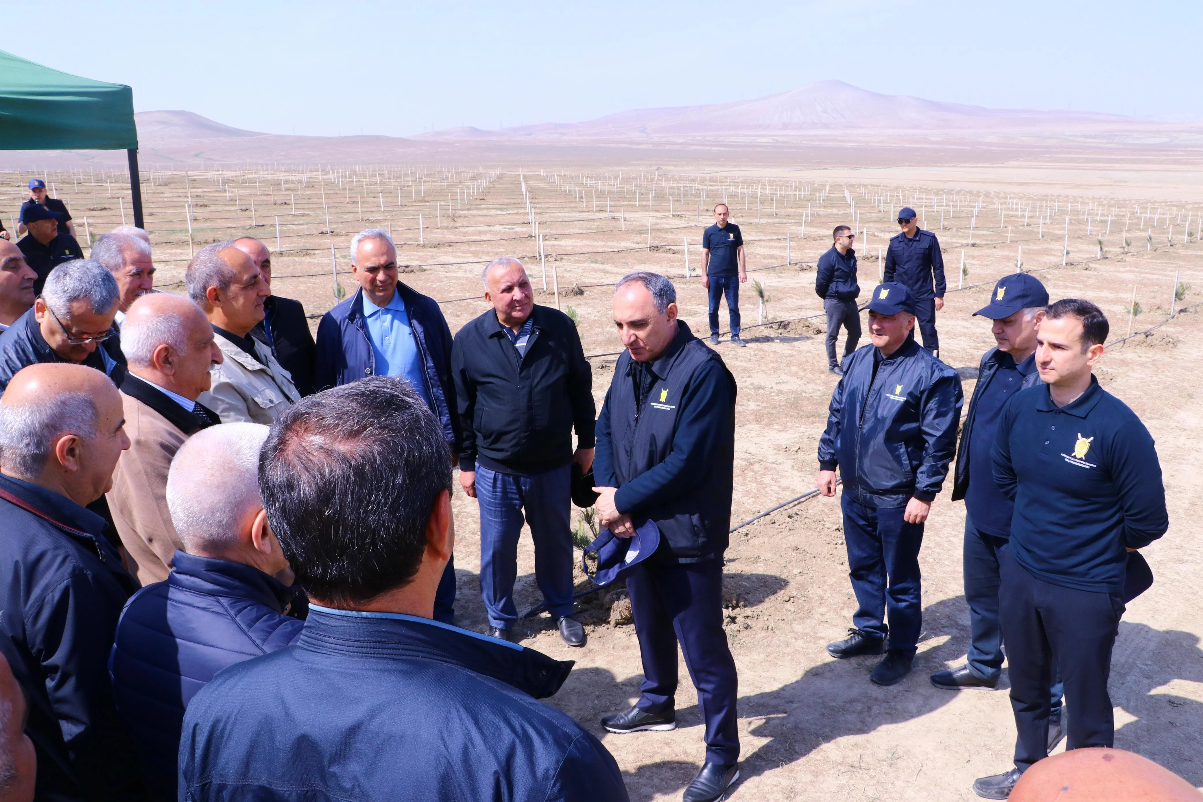 Prokurorluq əməkdaşları növbəti ağacəkmə kampaniyası keçirib