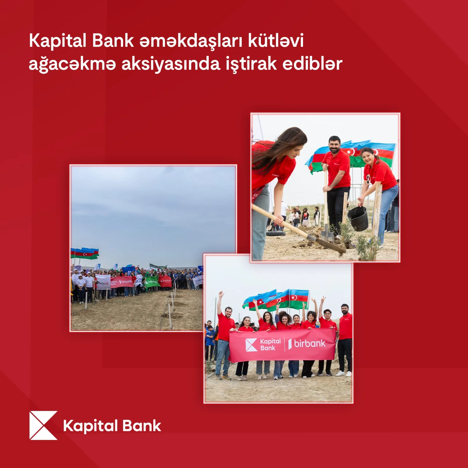 Kapital Bank əməkdaşları kütləvi ağacəkmə aksiyasında iştirak ediblər