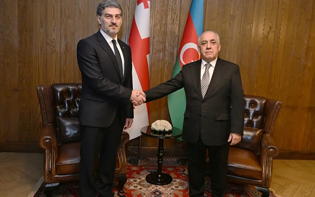 Əli Əsədov Gürcüstan Prezidenti ilə görüşdü