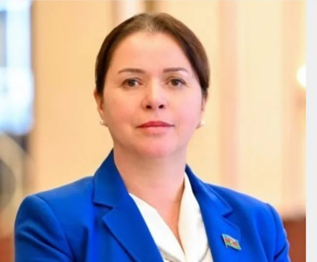 Azərbaycan Gürcüstanla mühüm layihələr həyata keçirir