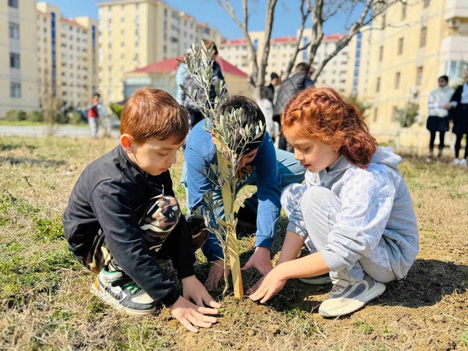 Dövlət Komitəsi “Konstitusiya və Suverenlik İli” çərçivəsində ağacəkmə aksiyası təşkil edib