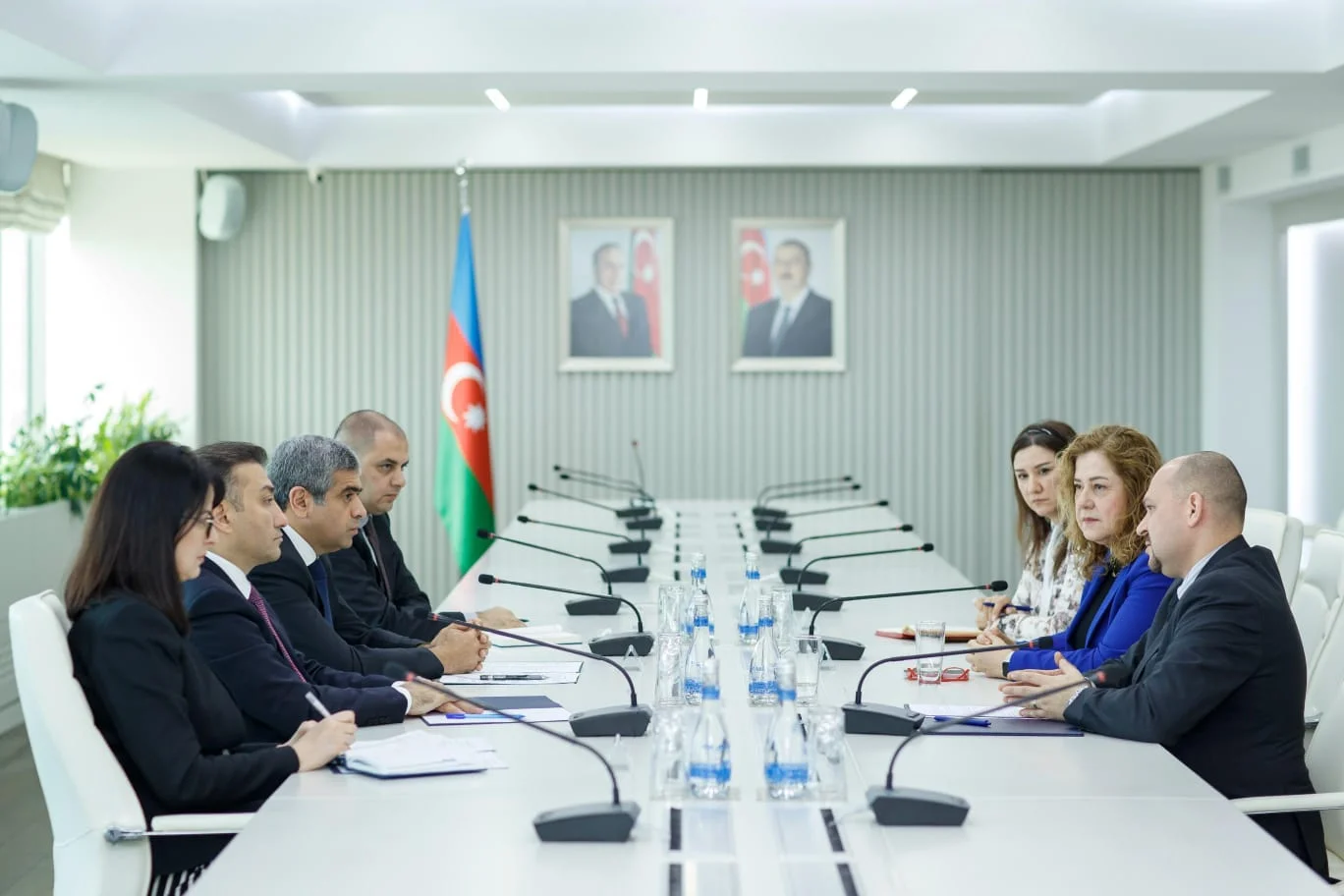 Nazirlikdə Ümumdünya Səhiyyə Təşkilatının Azərbaycandakı nümayəndəliyinin rəhbəri ilə görüş olub