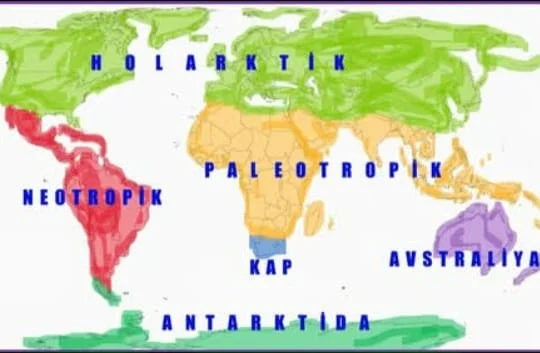 PARÇALANMA VƏ BÜTÖVLƏŞMƏ