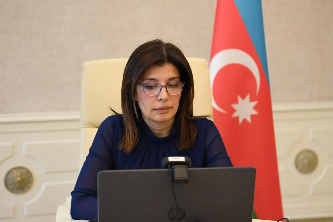 TÜRKPA-nın Təhsil, mədəniyyət, sosial və humanitar məsələlər komissiyasının onlayn iclasında