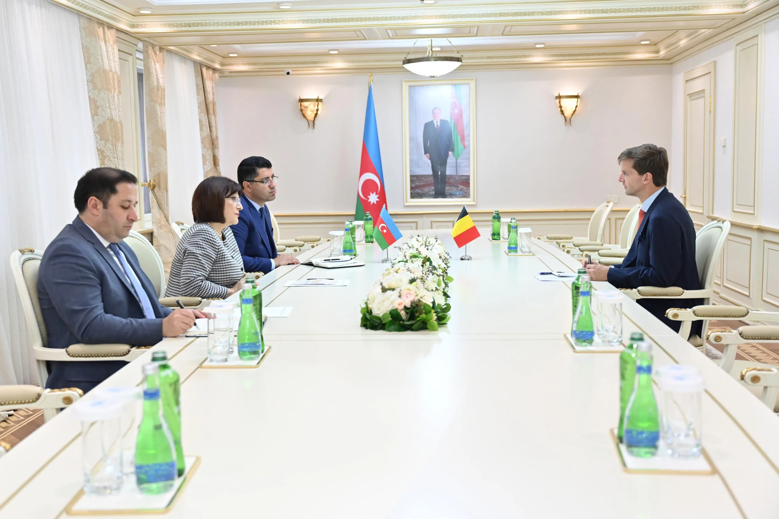 Milli Məclisin sədri Sahibə Qafarova Belçika Krallığının ölkəmizdəki səfiri ilə görüşüb