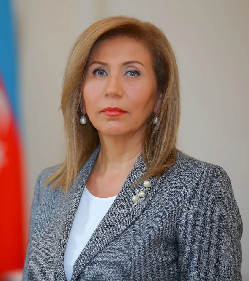Qadınların Rəqəmsal Texnologiyalara Çıxışı Genişlənməlidir – Bahar Muradova