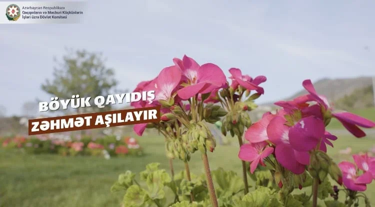 Böyük Qayıdış zəhmət aşılayır