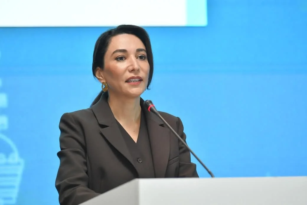 Ombudsman Səbinə Əliyeva Konstitusiyanın 30 illiyinə həsr olunmuş beynəlxalq konfransda iştirak edib