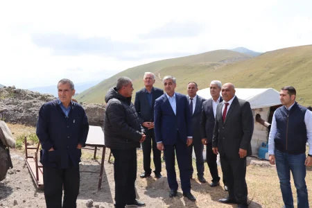 Naxçıvanda 180 minə yaxın heyvan yaylaqlara qaldırılıb