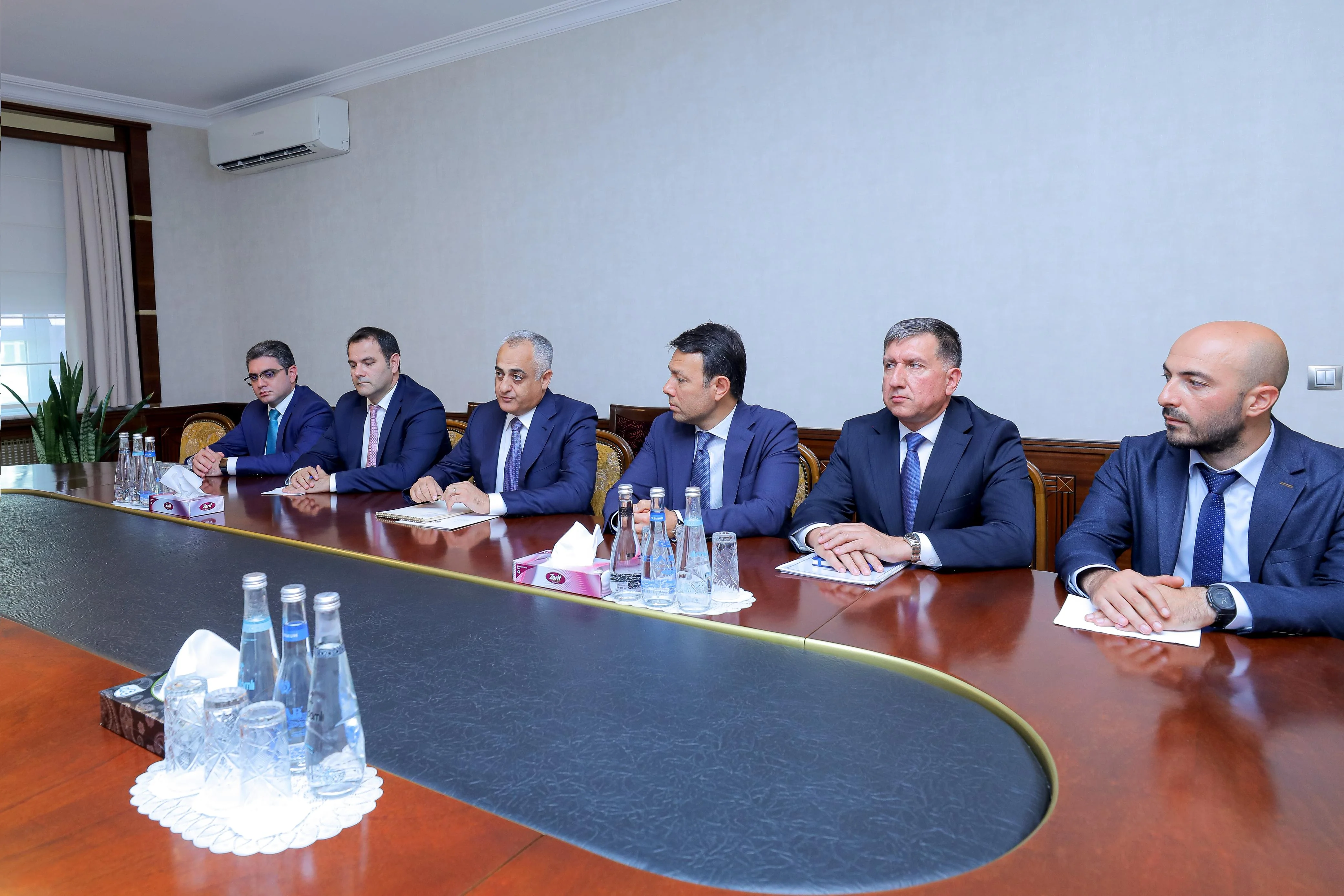 Səlahiyyətli nümayəndə Avropa İttifaqının Cənubi Qafqaz üzrə xüsusi nümayəndəsi ilə görüşüb