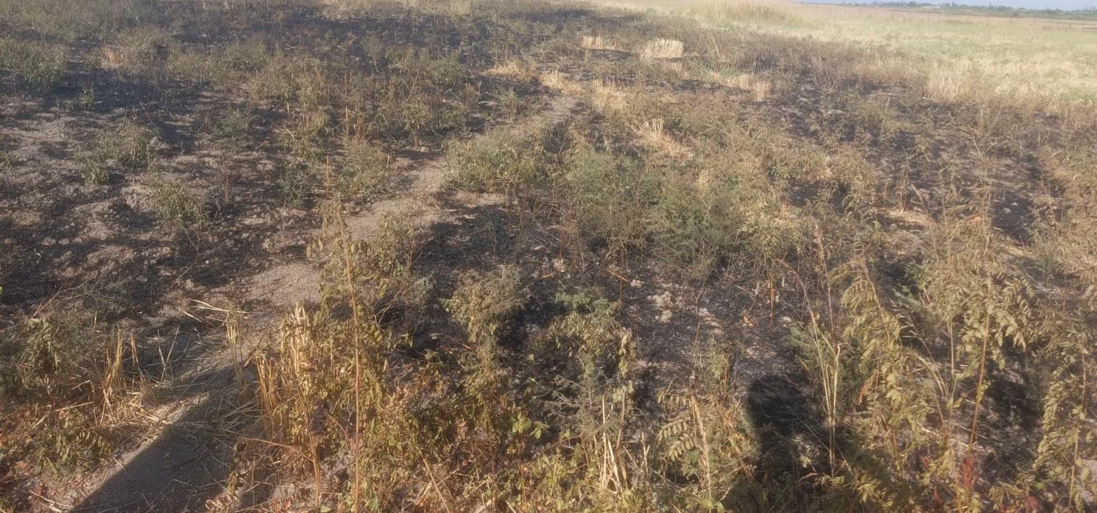 Ağsuda məişət tullantıları yandıran şəxs yanğına səbəb olub
