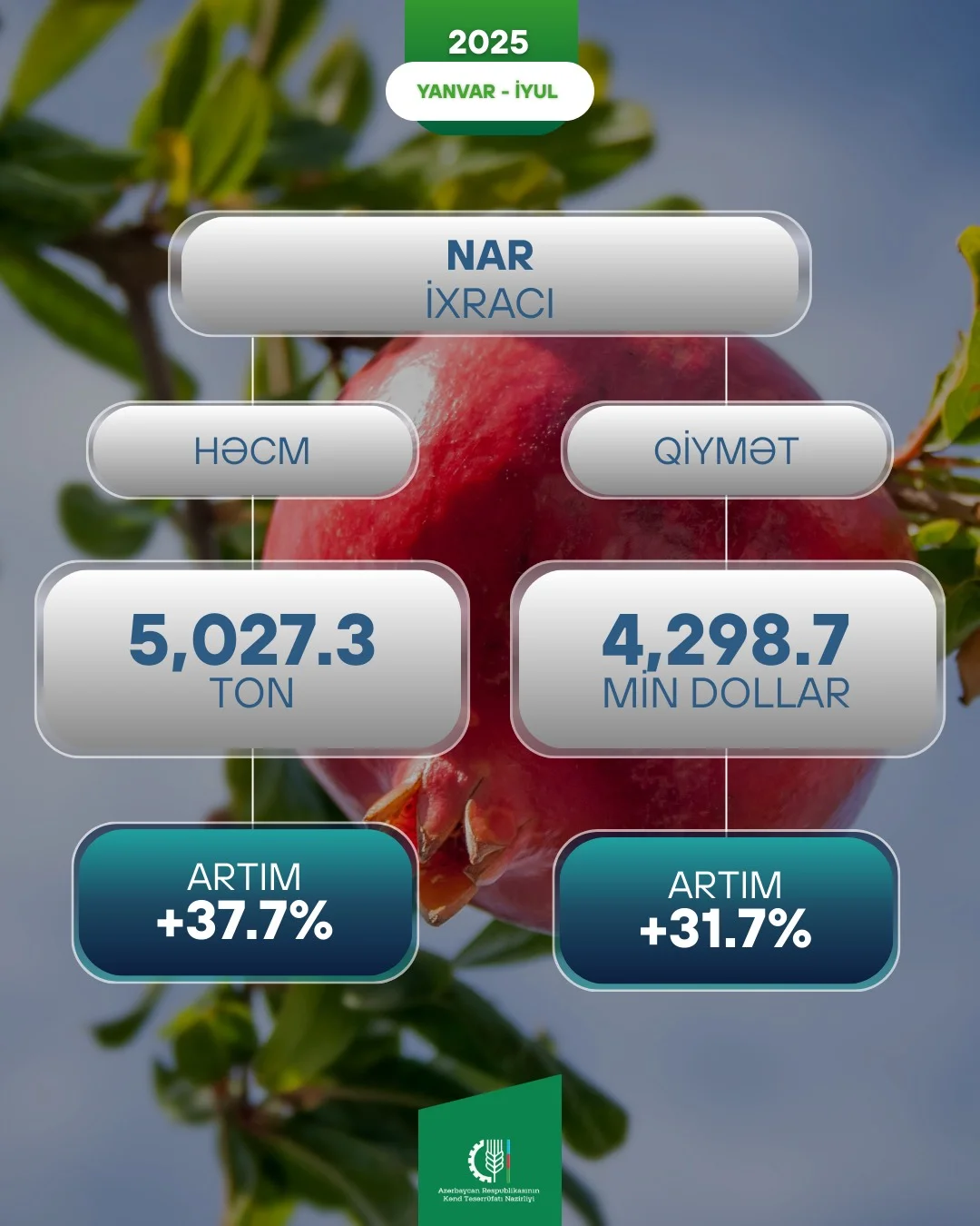 Azərbaycan xarici bazarlara nar ixracatı 37,7% artıb