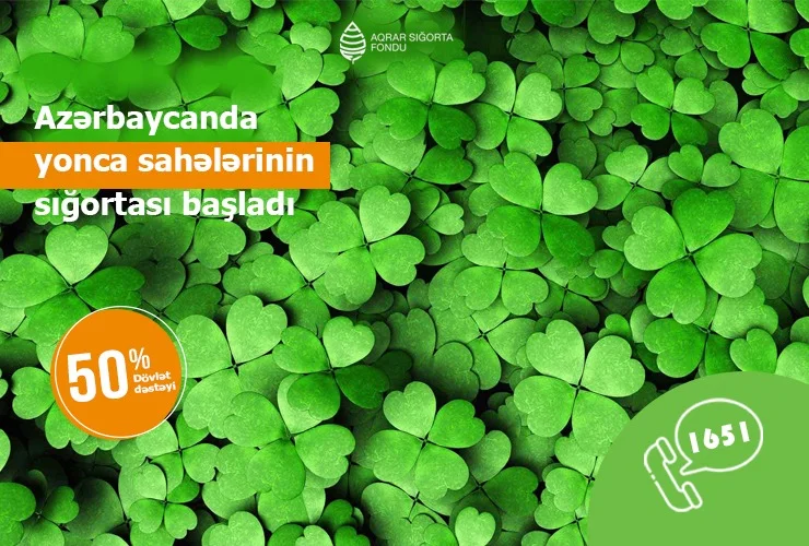 Azərbaycanda yonca sahələrinin sığortalanması prosesinə start verilib