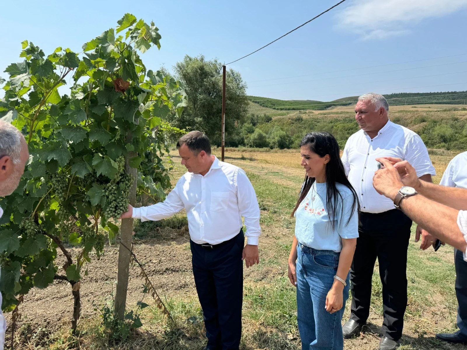 Şamaxıda Moldovanın ekoloji stress amillərinə davamlı üzüm sortlarından ibarət nümayiş bağı salınıb
