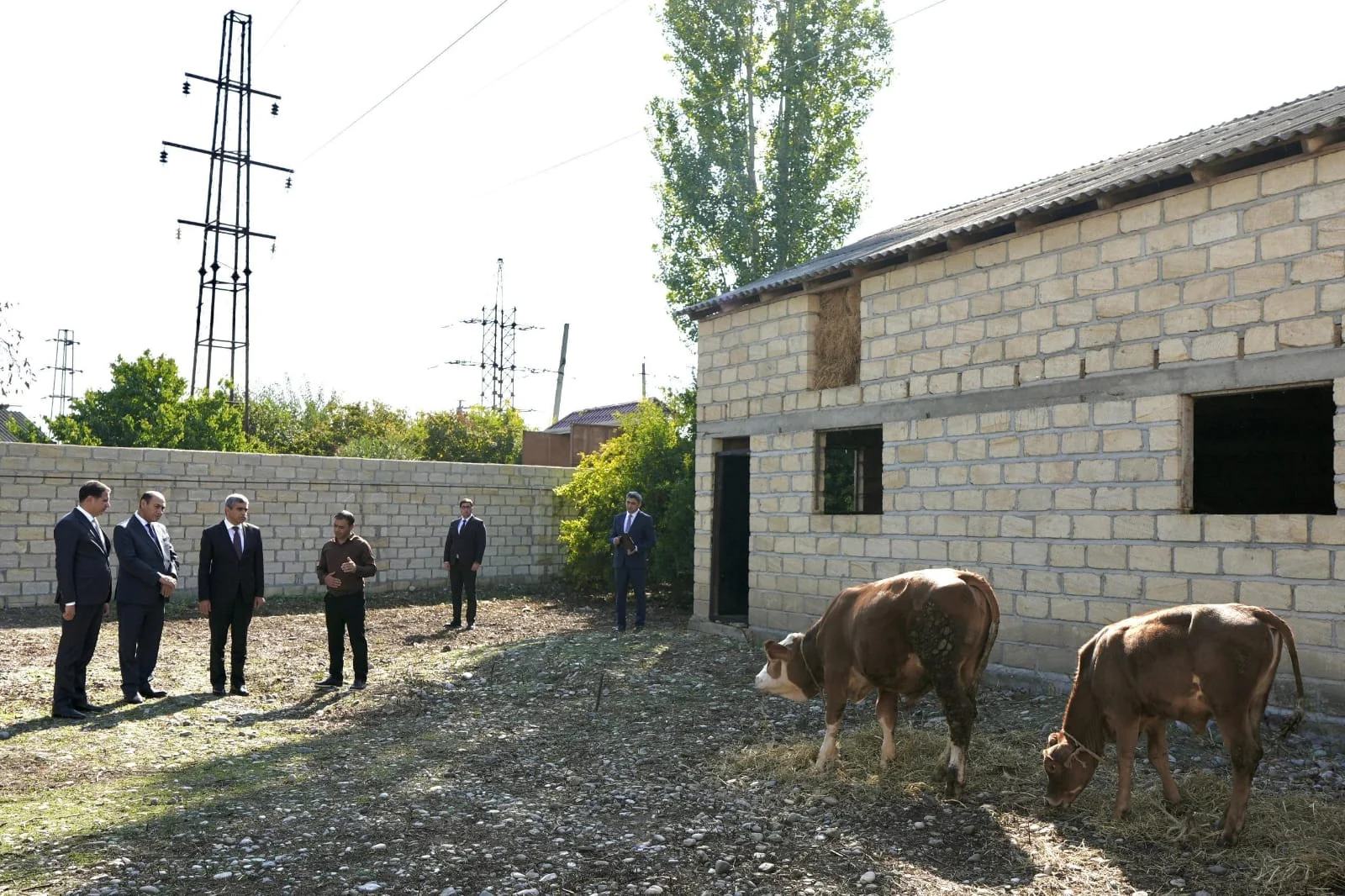 Bərdədə özünüməşğulluq proqramı çərçivəsində qurulmuş təsərrüfatlara və “DOST Evi”nə baxış olub