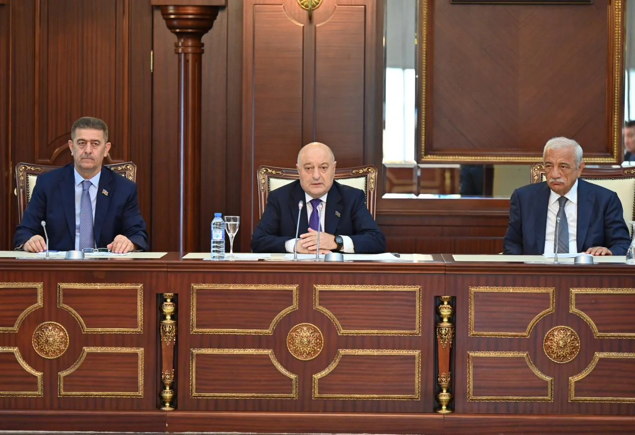 Beynəlxalq münasibətlər və parlamentlərarası əlaqələr komitəsinin iclasında