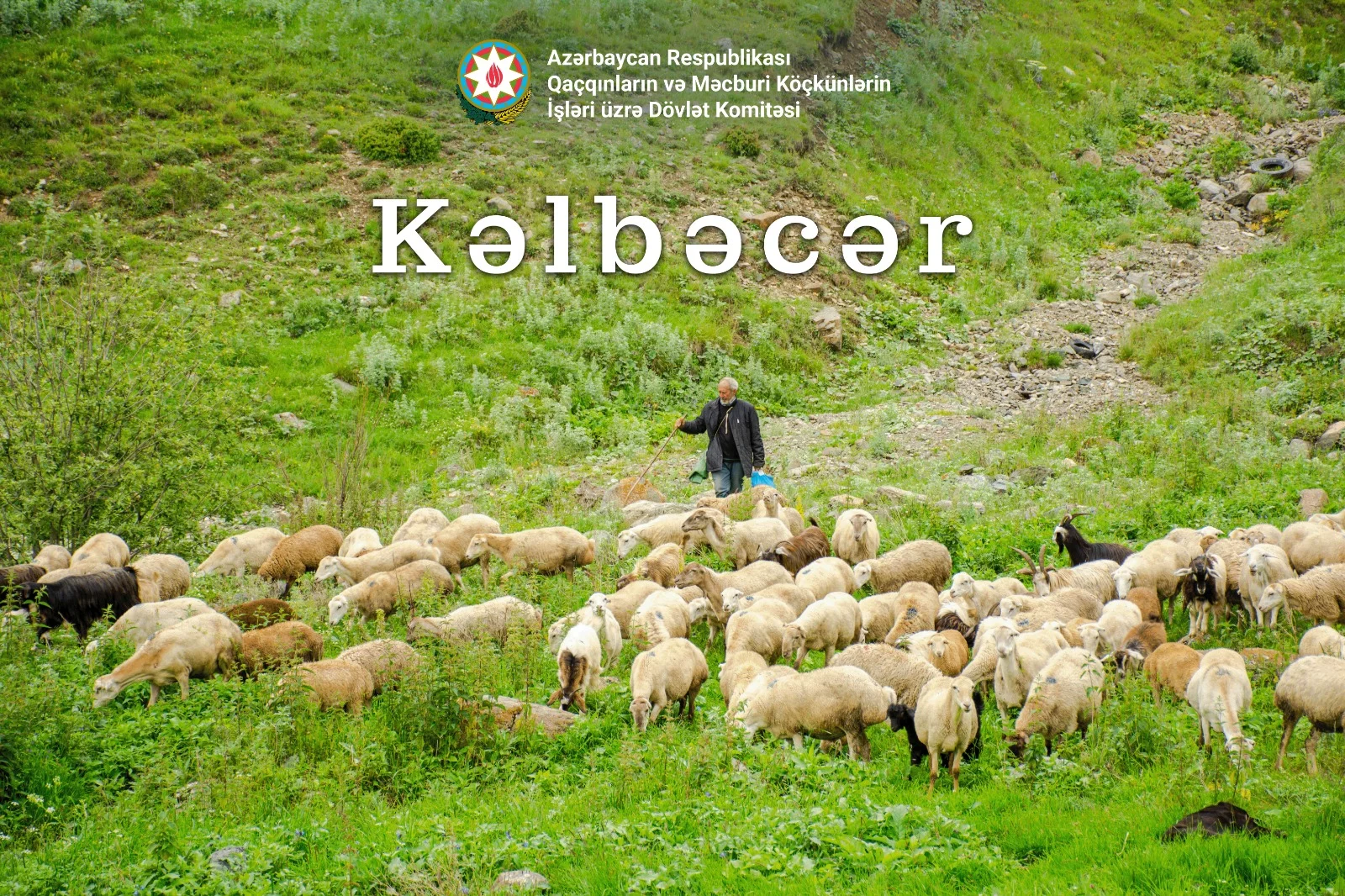 Kəlbəcər: Təbiətin qoynunda yenidən canlanan həyat