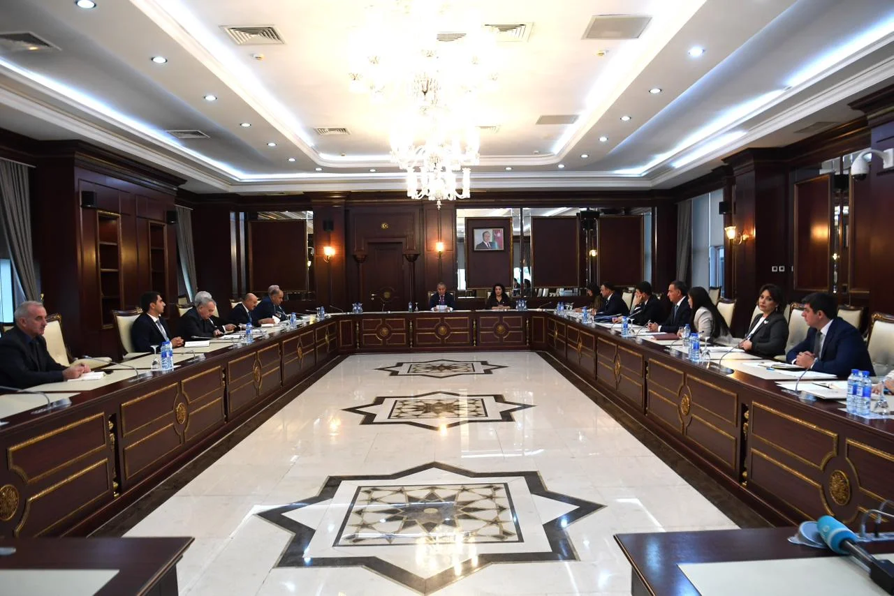 Təbii ehtiyatlar, energetika və ekologiya komitəsinin iclasında