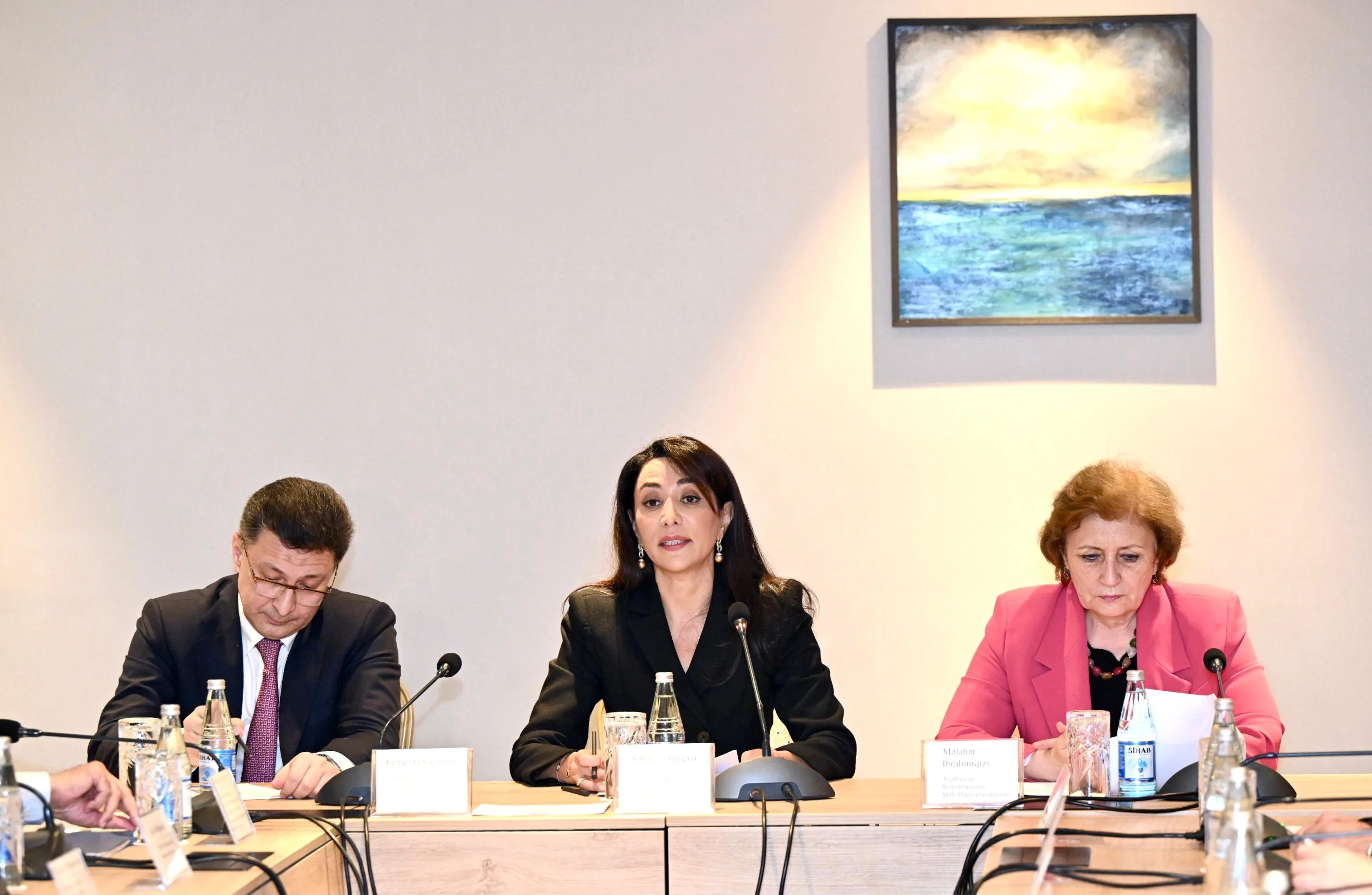 Ombudsman Səbinə Əliyeva: !!!
