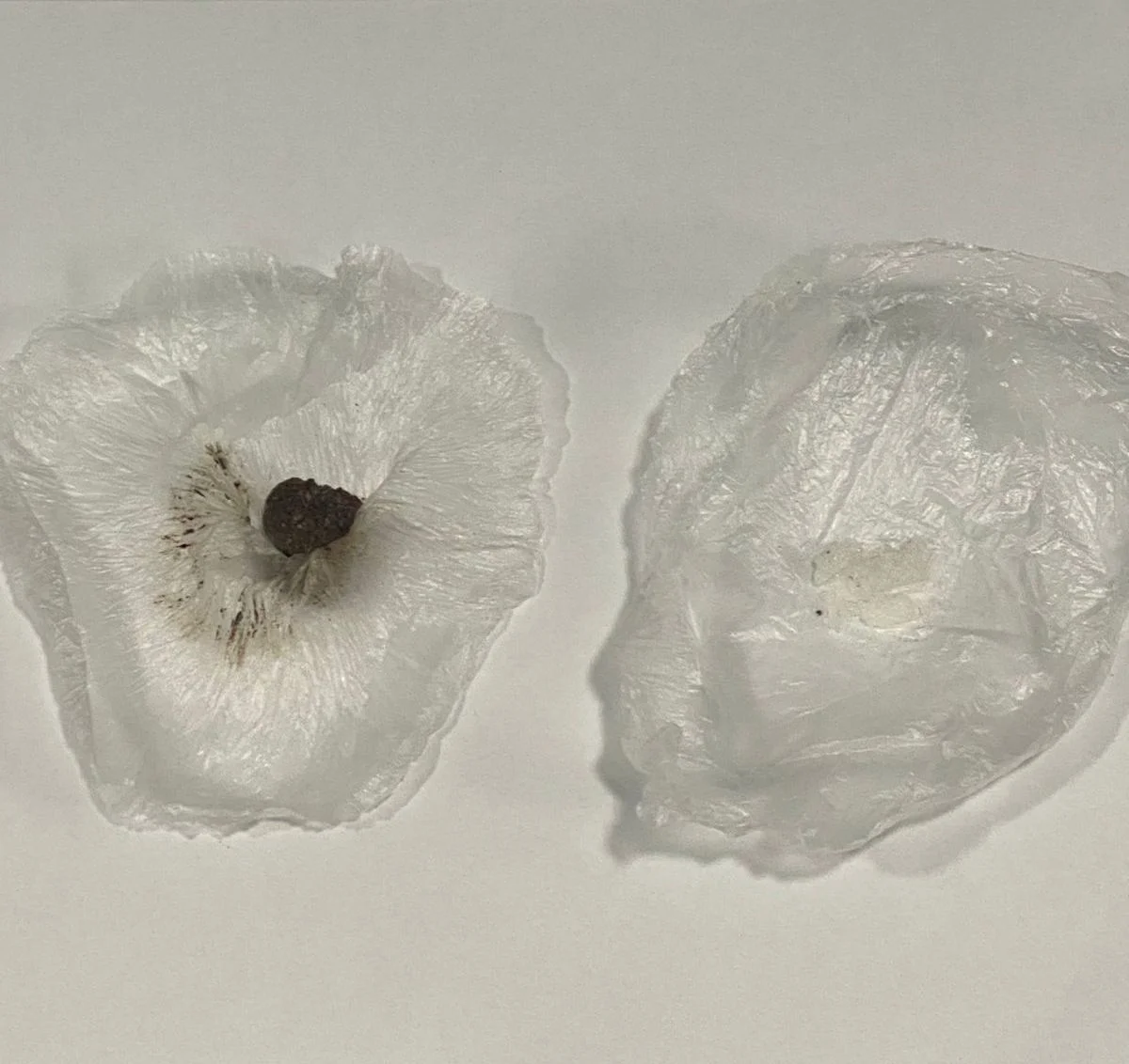 CƏZAÇƏKMƏ MÜƏSSİSƏSİNƏ NARKOTİK VƏ PSİXOTROP MADDƏLƏRİN KEÇİRİLMƏSİNİN QARŞISI ALINIB