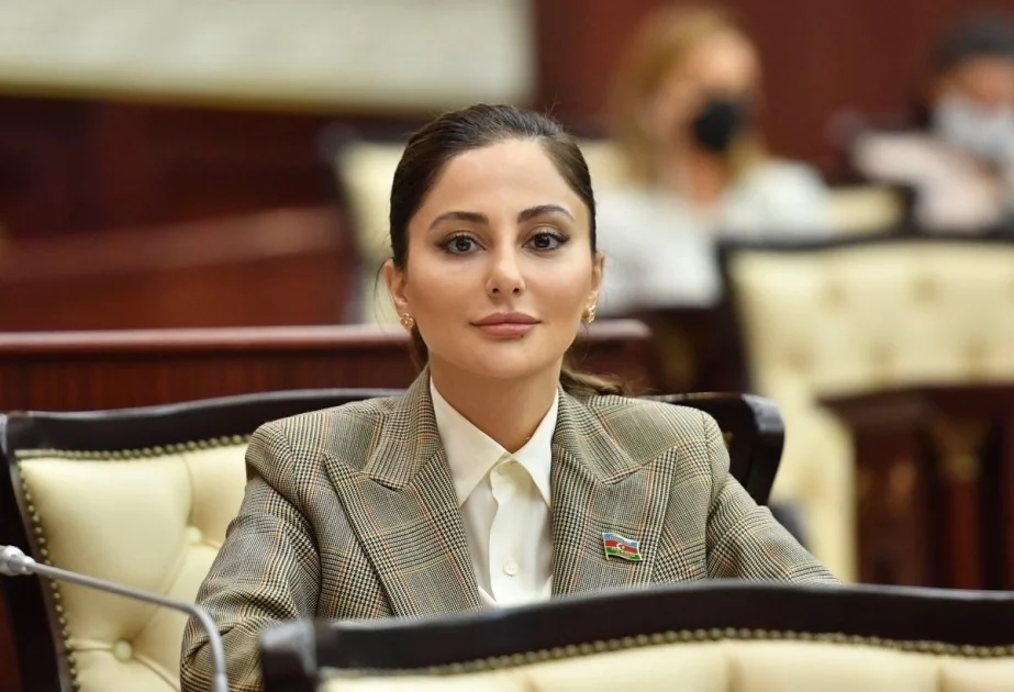 Asiya Parlament Assambleyasının komitə iclasında