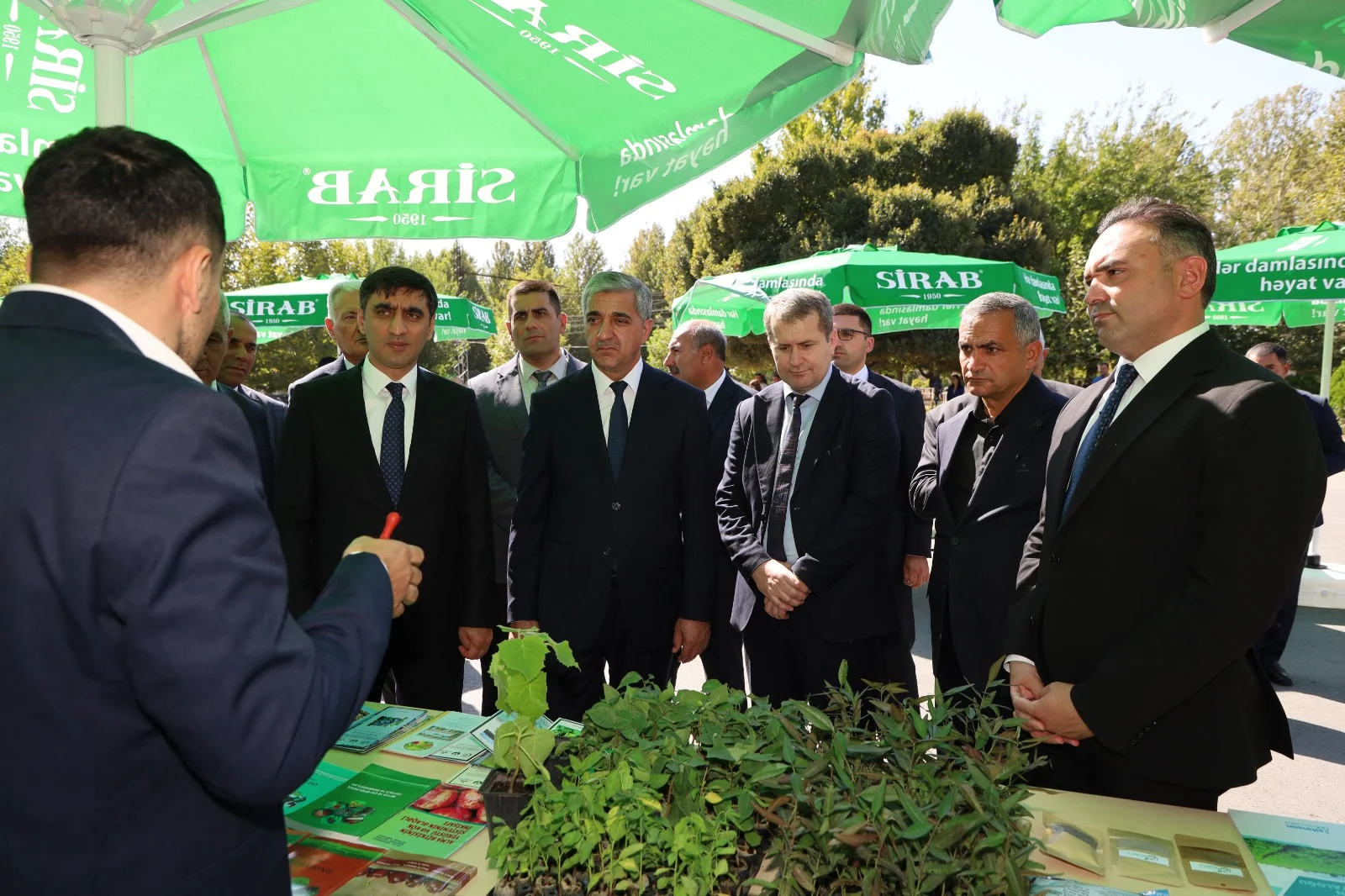 Şərur rayonunda Aqrar Biznes Festivalı və toxum sərgi-satış yarmarkası keçirilib