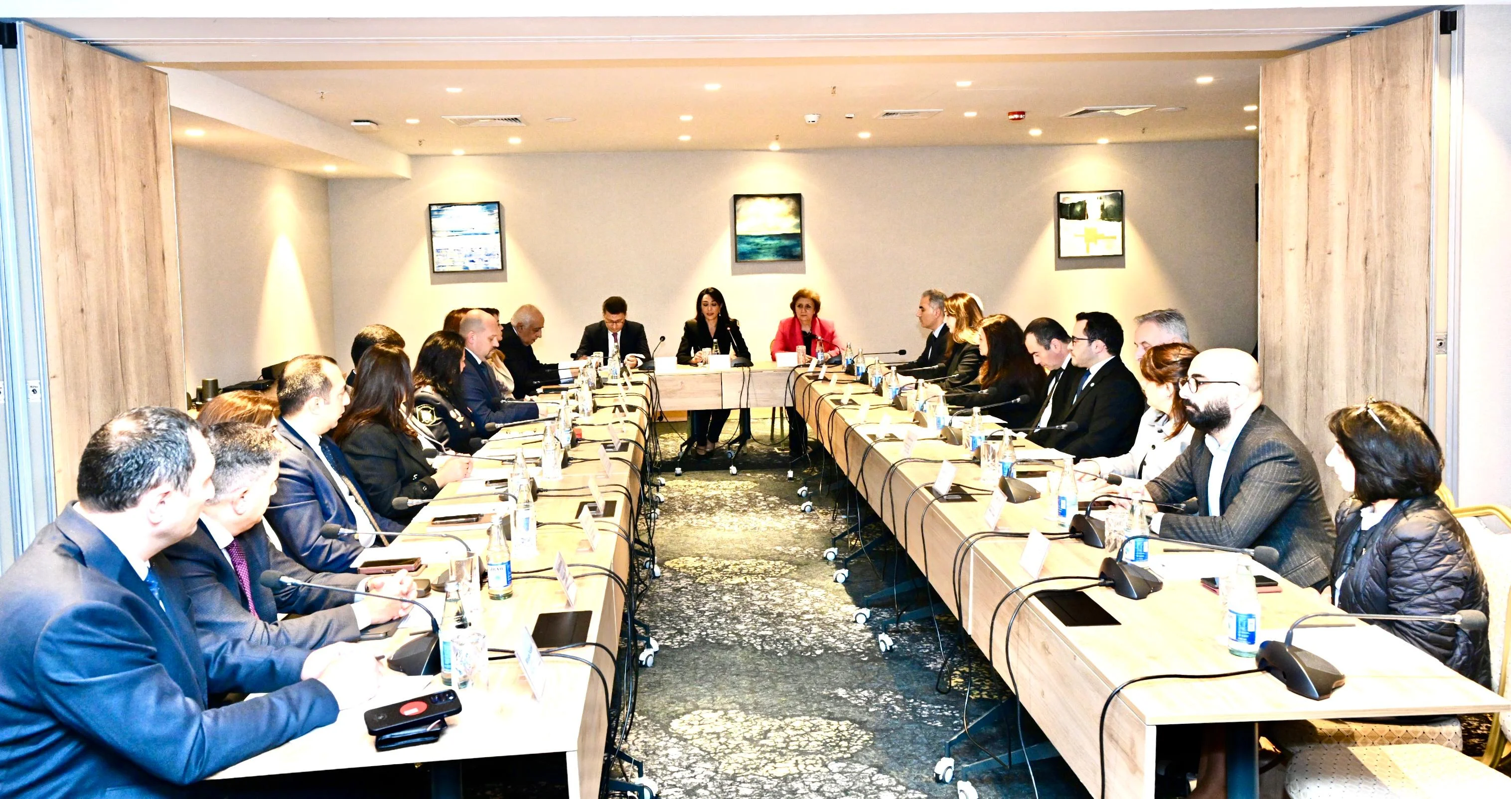 Ombudsman yanında “Psixi sağlamlıq və insan hüquqları” sahəsində İşçi Qrupun ilk iclası keçirilib