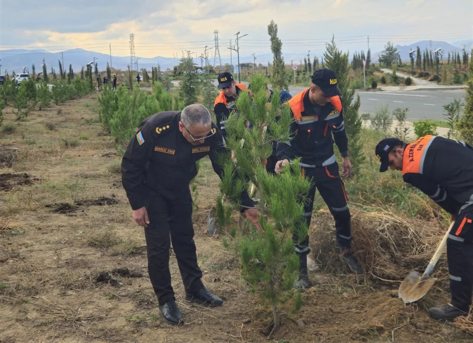 FHN Ağdam şəhərində ağacəkmə aksiyası keçirib