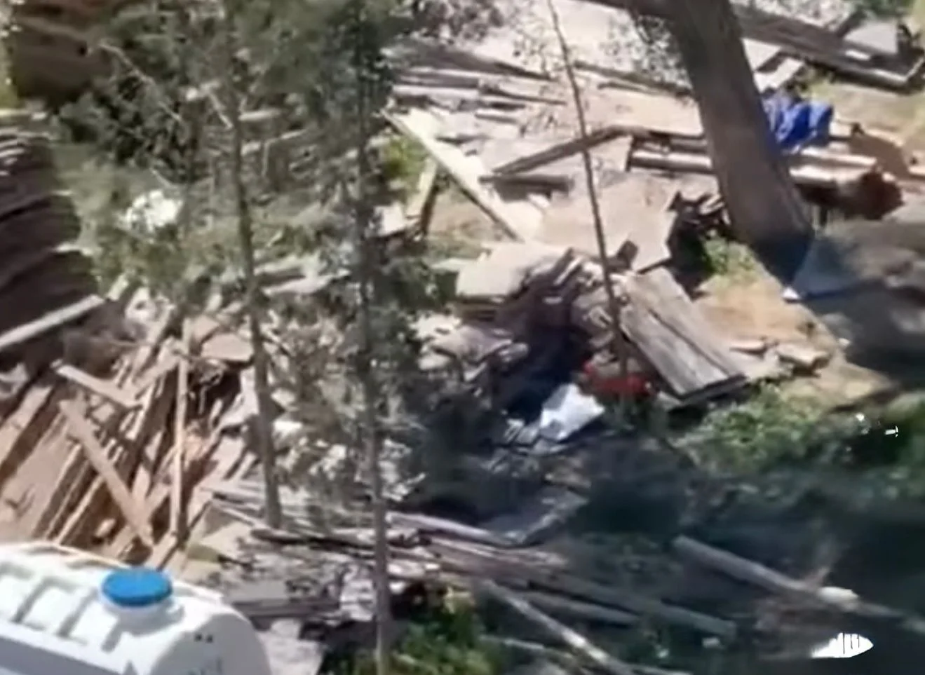 Sumqayıt şəhərində ağac kəsilmə faktı üzə prosessual araşdırma aparılır