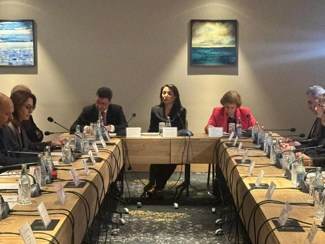 Ombudsman Səbinə Əliyeva:  “Psixi sağlamlıq hüququ fundamental insan hüququdur”