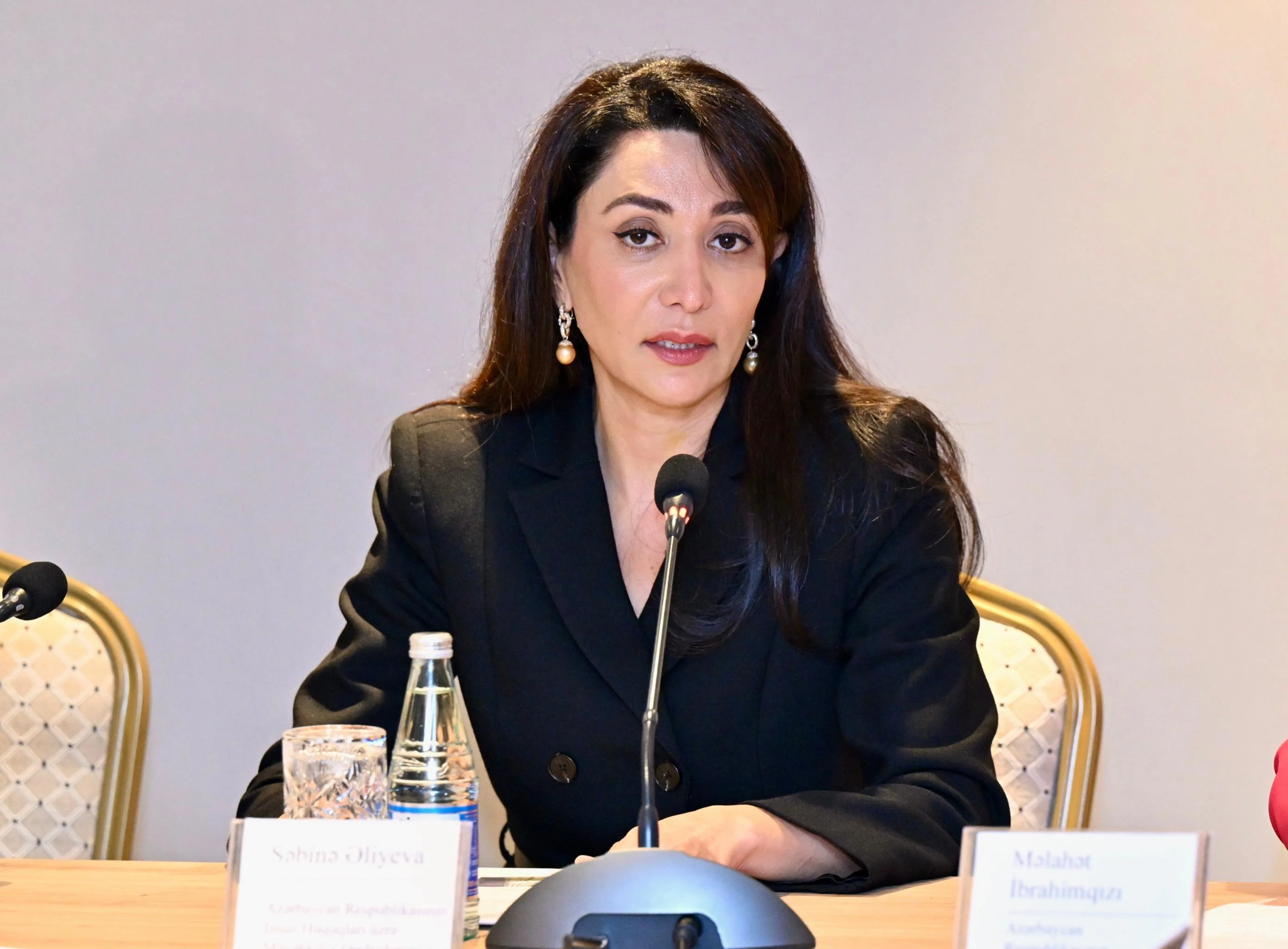 Ombudsman Səbinə Əliyeva: !!!  ”Uşaq mərkəzləri ilə bağlı da problemlər mövcuddur”