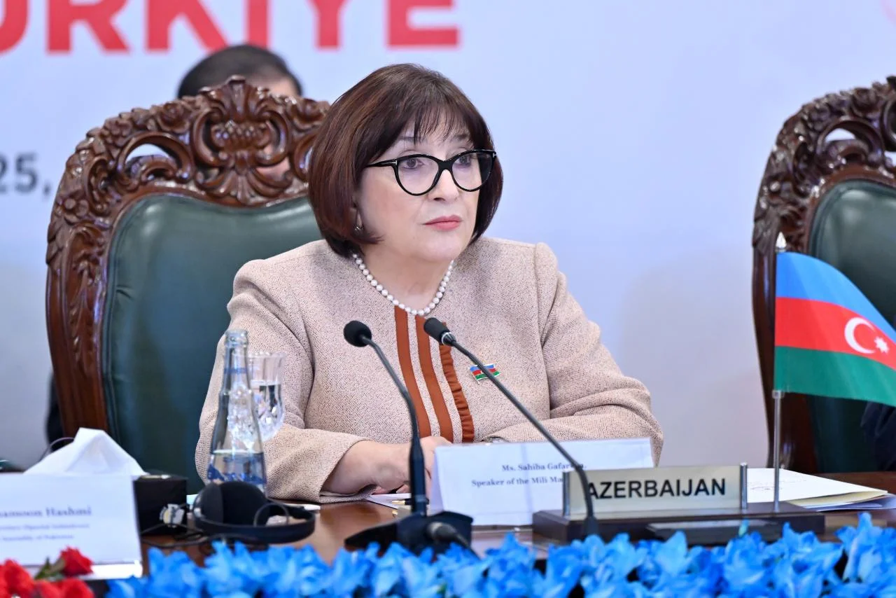Sahibə Qafarova:  Bütün bunlar ilk növbədə Prezident İlham Əliyevin gərgin fəaliyyətinin nəticəsi idi