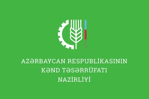 Kənd Təsərrüfatı Nazirliyinin şöbə müdiri: “Dabaq xəstəliyinin qida məhsulları vasitəsilə insanlara keçmə ehtimalı sıfıra yaxındır”