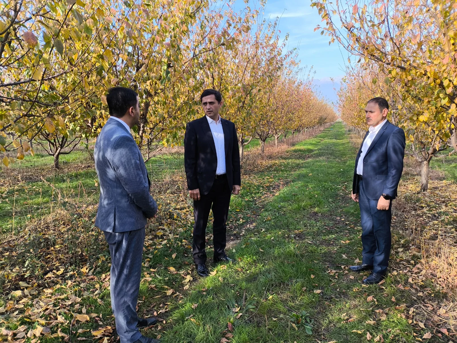 Aqrar Sığorta Fondunun İdarə Heyətinin sədri Fuad Sadıqov Oğuzda vətəndaşları qəbul edib, təsərrüfatlara baş çəkib