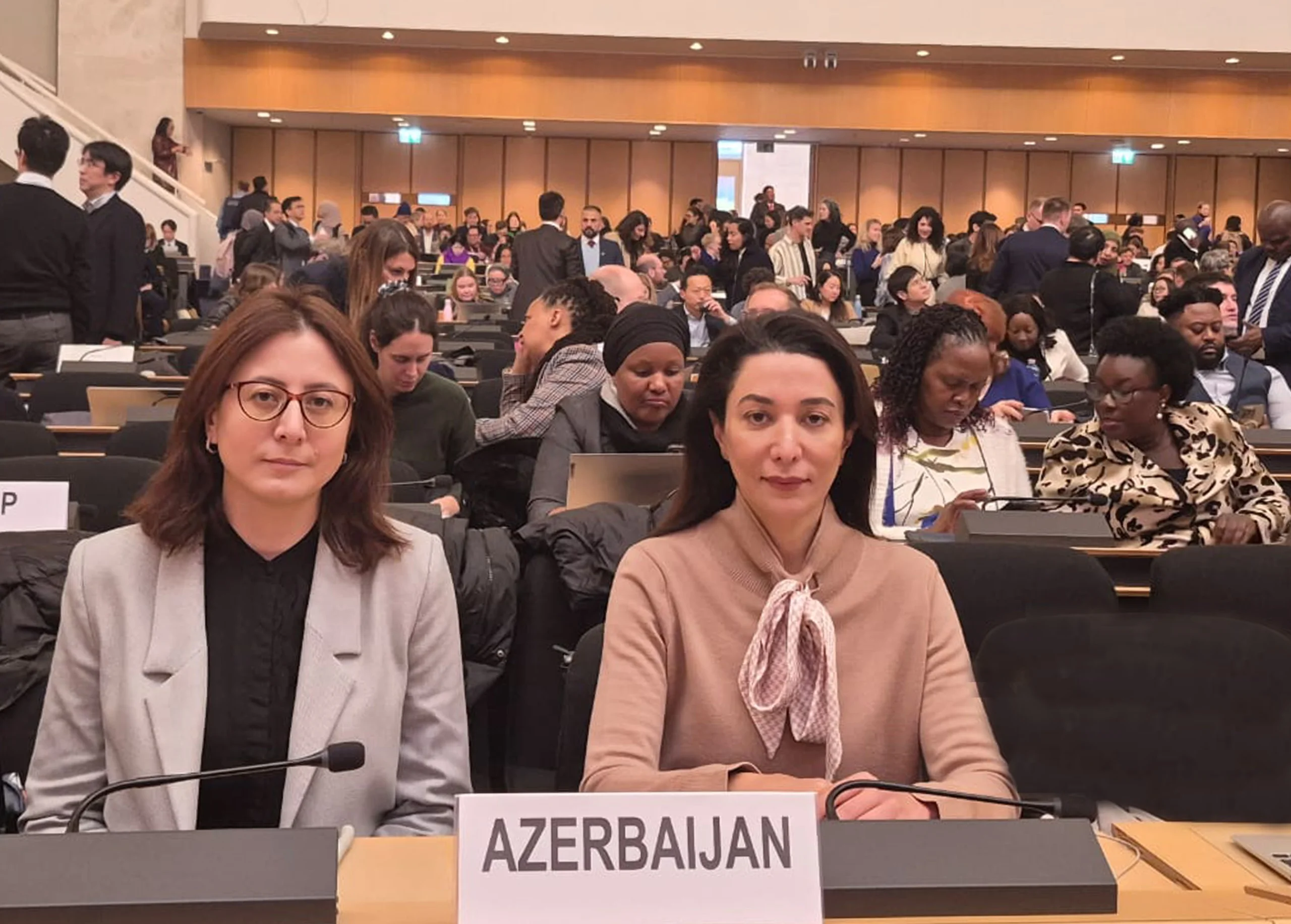 Ombudsman Cenevrədə BMT-nin Biznes və İnsan Hüquqları Forumunda iştirak edib