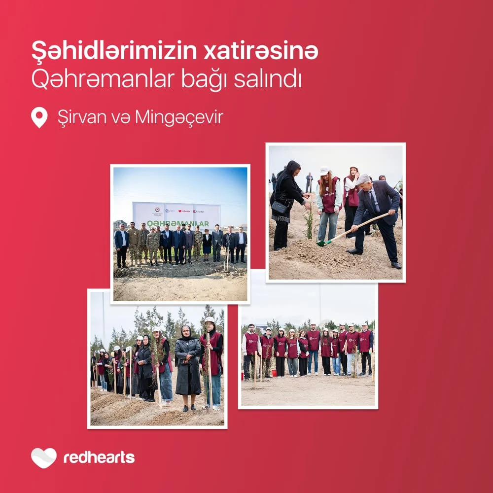 “Qəhrəmanlar bağı” layihəsi: Şəhidlərin xatirəsinə 543 ağac əkildi