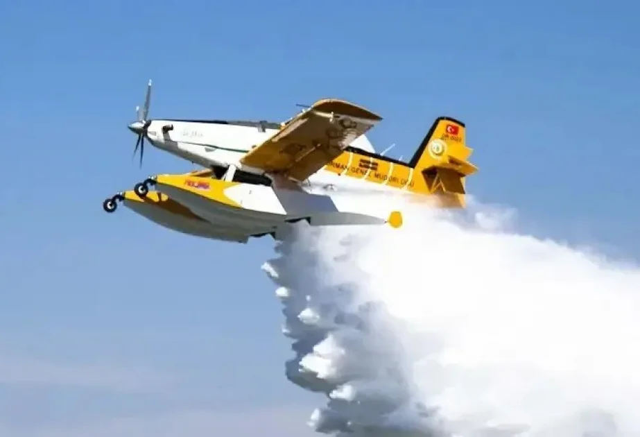 Türkiyəyə məxsus yanğınsöndürmə təyyarəsi Xorvatiyada qəzaya uğrayıb