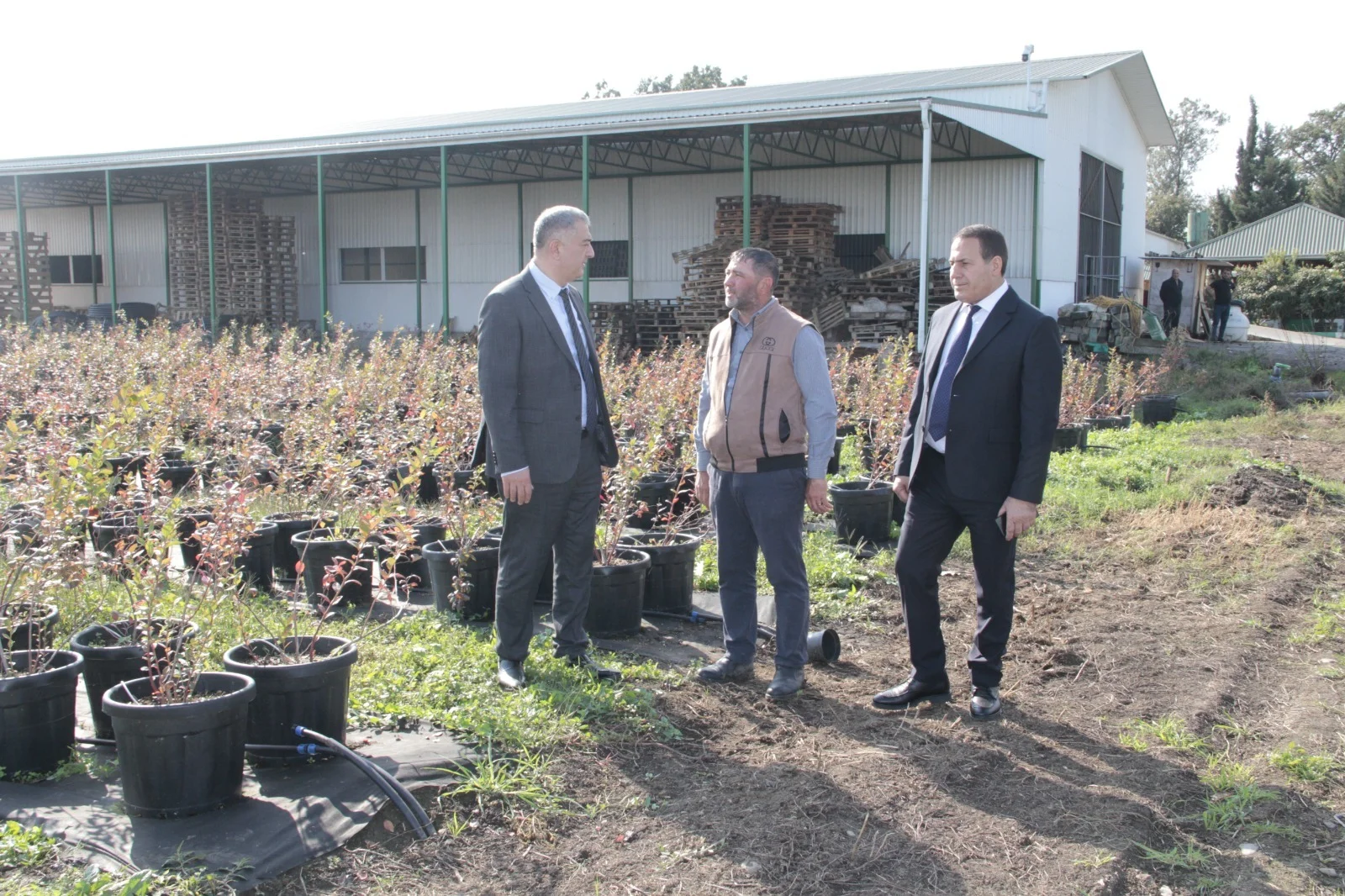 Kənd təsərrüfatı nazirinin müavini Elçin Zeynalov Cəlilabadda vətəndaşları qəbul edib, təsərrüfatlara baş çəkib