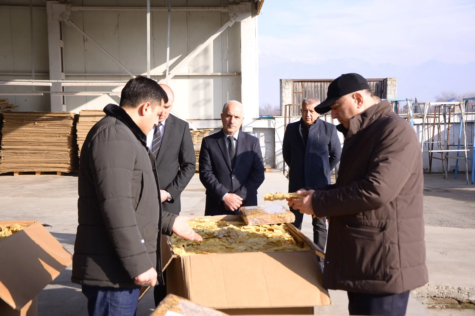 Kənd təsərrüfatı nazirinin müavini Elçin Zeynalov Şəkidə vətəndaşları qəbul edib, təsərrüfatlara baş çəkib