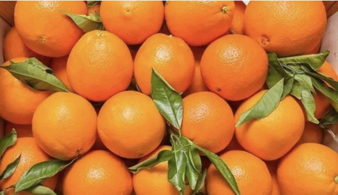 Azərbaycana gələn portağallar təhlükəli maddə ilə ‘kraska’lanırmış – Rəsmi təsdiqləndi