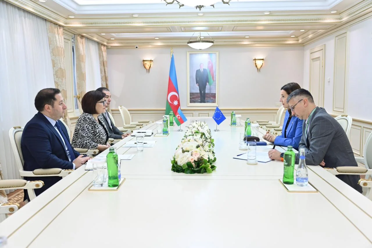 Milli Məclisin sədri Sahibə Qafarova Avropa İttifaqının Azərbaycandakı nümayəndəliyinin rəhbəri ilə görüşüb