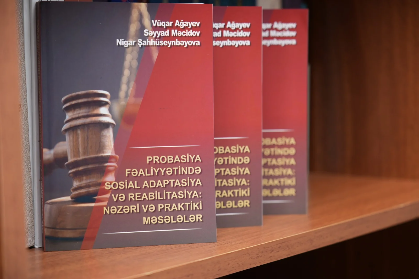 Probasiya ilə bağlı kitabın təqdimatı keçirilib