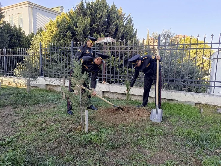 FHN-in Bakı Regional Mərkəzi ağacəkmə aksiyası keçirib