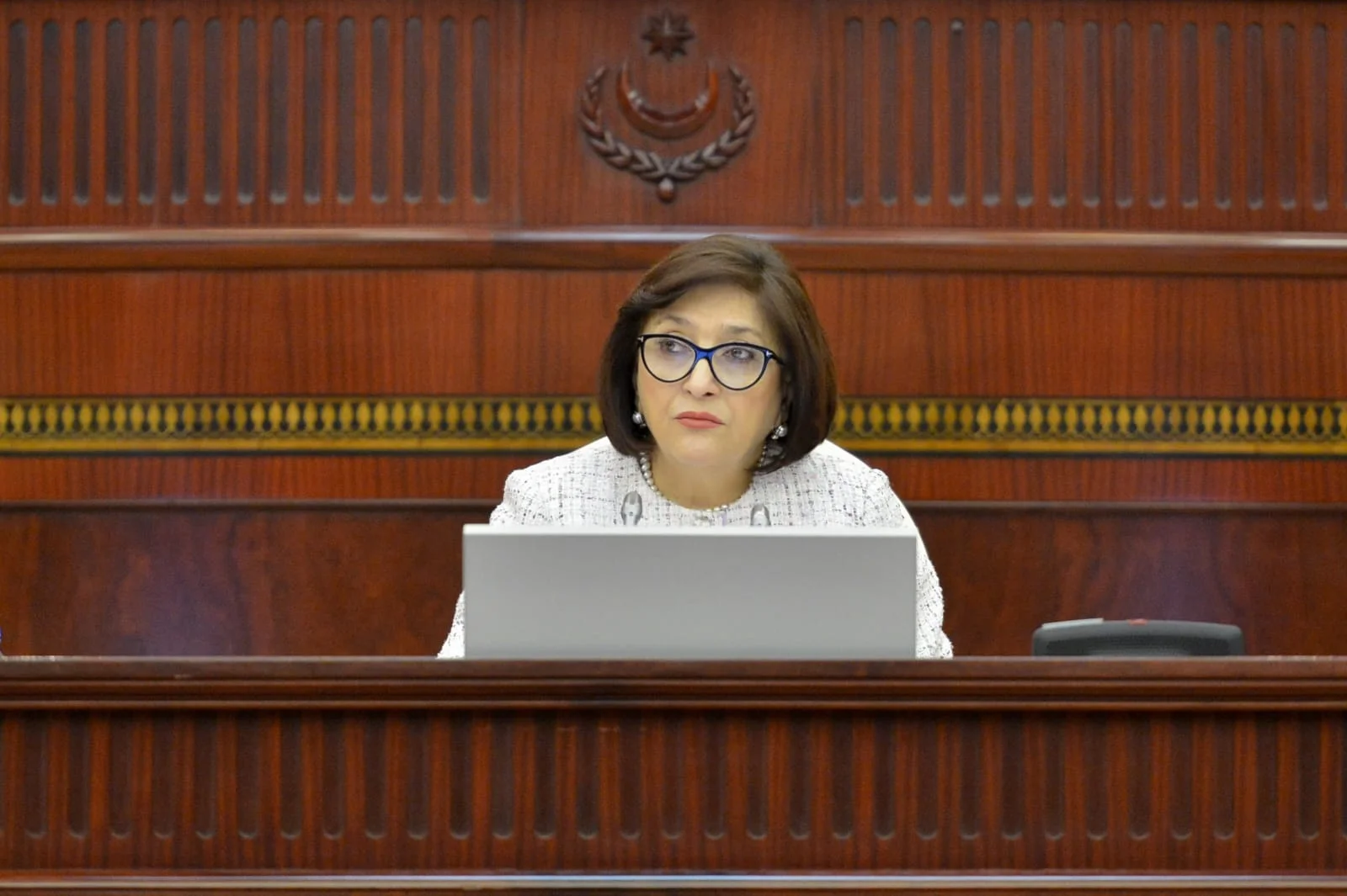 Milli Məclisin plenar iclasında