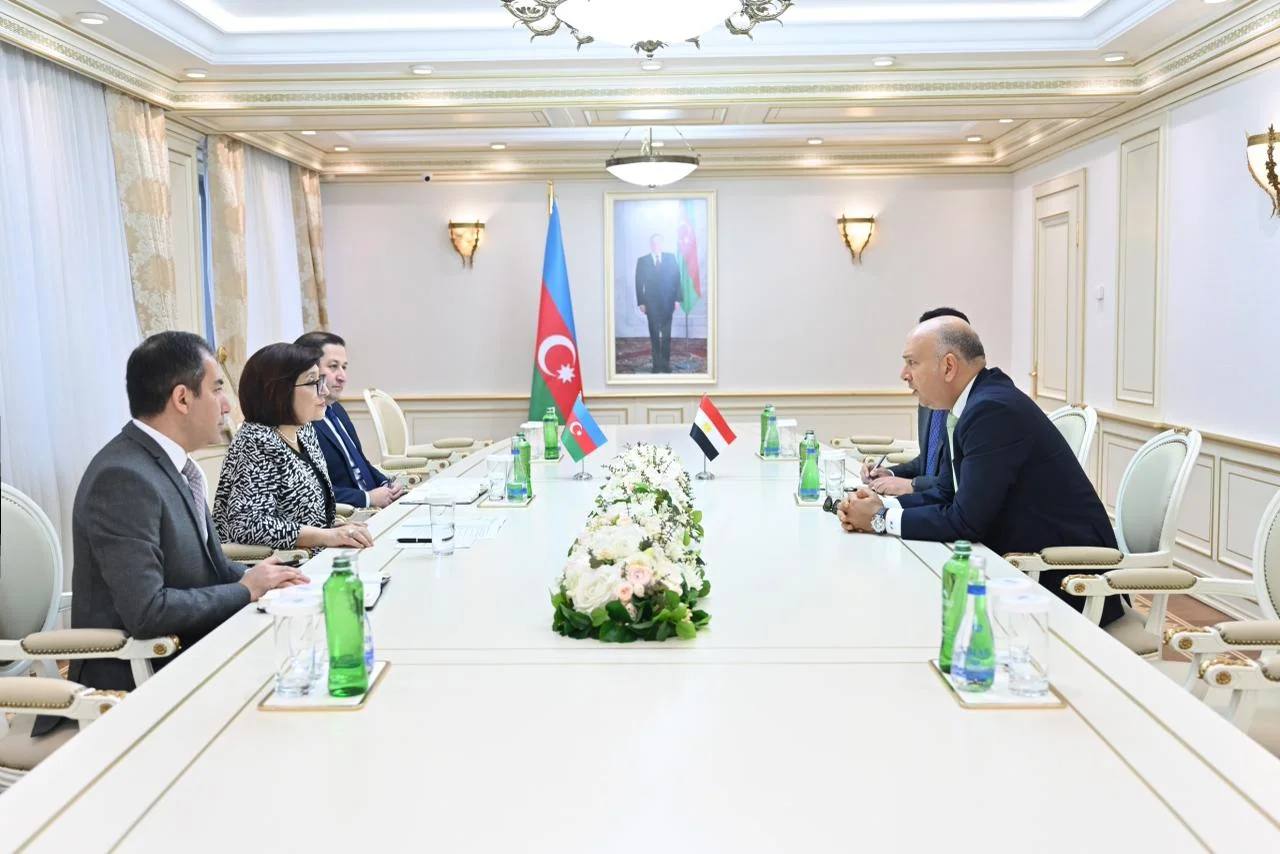 Milli Məclisin sədri Sahibə Qafarova Misirin ölkəmizdəki səfiri ilə görüşüb